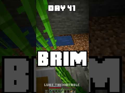 100 Days - [Minecraft Shorts] - Day 41 #minecraft #100days