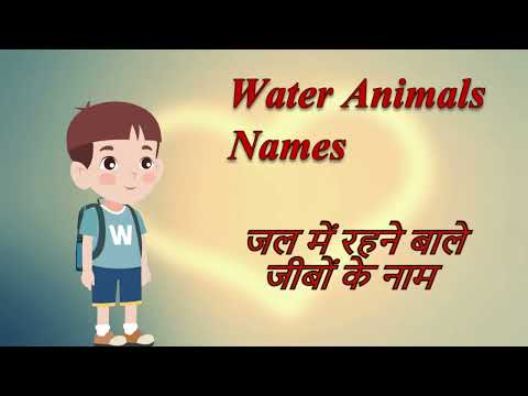 Water Animals Name Quick Learning Video for Kids | Water Animal Video| Water animals for Kids