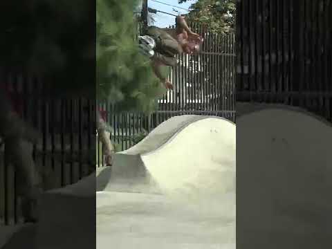 Vintage Damon Franklin Misty Flip