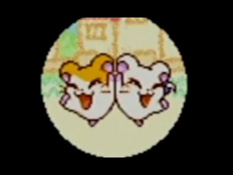 Hamtaro: Ham-Ham Heartbreak Playthrough Part 9 (EXTRA #1 - Wrapping Things Up!)