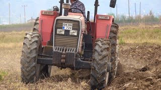 Legendary Tractor - Massey Ferguson