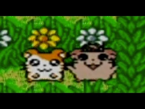 Hamtaro: Ham-Hams Unite! Playthrough Part 2 (A Walk in the Park!)