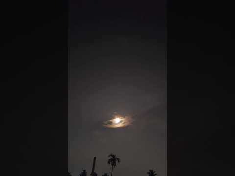 moon view