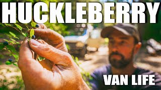 4x4 Van Life - I'm your Huckleberry