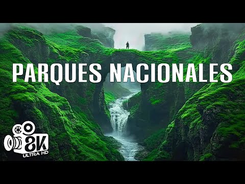 Maravillas de Nuestro Planeta | Los parques nacionales más bonitos del mundo 🌎 Viajes en 8K