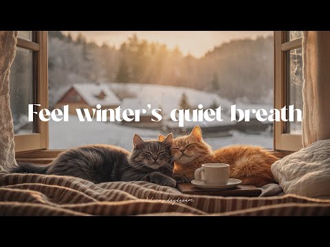 feel winter's quiet breath with dreamy morning playlist ⭐ romanticize your life with guitar music