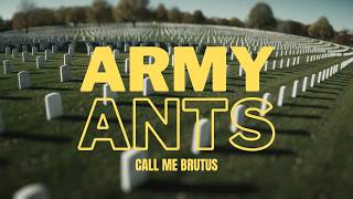 Call Me Brutus - ARMY ANTS (Official Music Video)