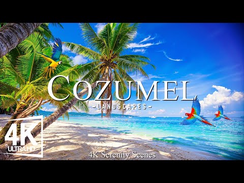 Cozumel 4K - Coral Reefs, White Sand Beaches & Peaceful Piano Harmony