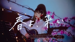 春よ、来い / 松任谷由実 Cover by 野田愛実(NodaEmi)