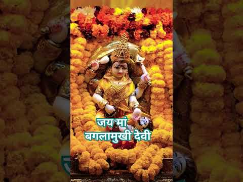 जय मां पीतांबरा देवी 🪔🌺🙏 #viralvideo #shorts #bhaktishorts #baglamukhi #maa #vaishnodevi #ytshorts