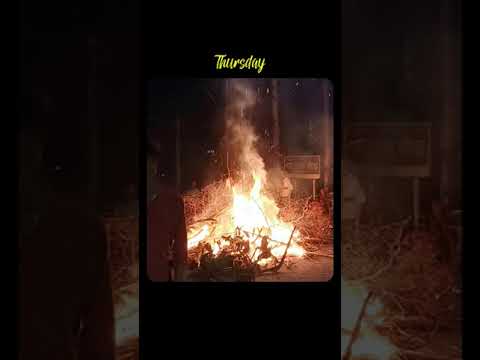 Holika dahan 🎇🔥#shorts #minivlog #vlog