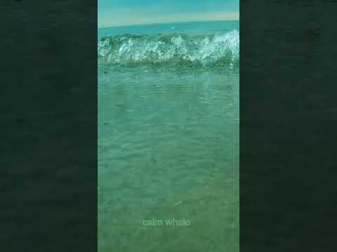 Escape from the world for a little while [432hz]  Warmth of the Water | Calm Whale