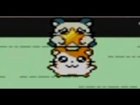 Hamtaro: Ham-Hams Unite! Playthrough Part 8 (EXTRA - All 12 Stars!)