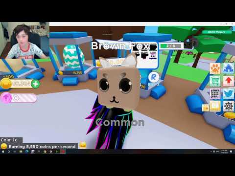 Pet Ranch simulator Roblox