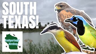 Birding the Rio Grande Valley in South Texas (Lifer Quest)