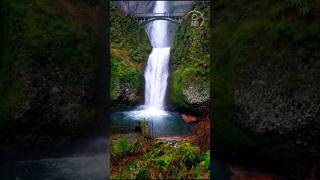 Waterfall Serenity Relaxation Video!❤️ #WaterFallMagic #RelaxationSounds