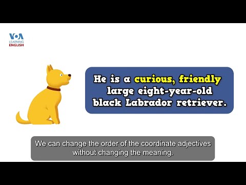 Everyday Grammar TV: Describing Pets 3: Cumulative and Coordinate Adjectives