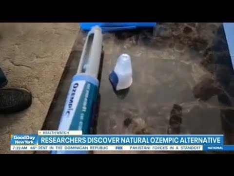 Researchers discover natural alternative to Ozempic: Good Day Today