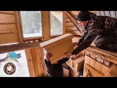 In Log Cabin in the Forest away From People | Off Grid in Wilderness | DIY Wooden Traps