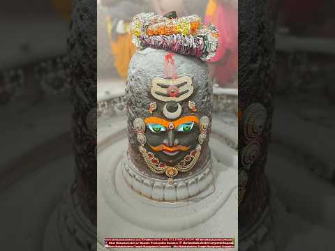 ॐ श्रीमहाकालेश्वराय नमः दिनांक 22/01/2025को ज्योतिर्लिंग जी का प्रातः कालीन भस्म आरती श्रृंगार दर्शन