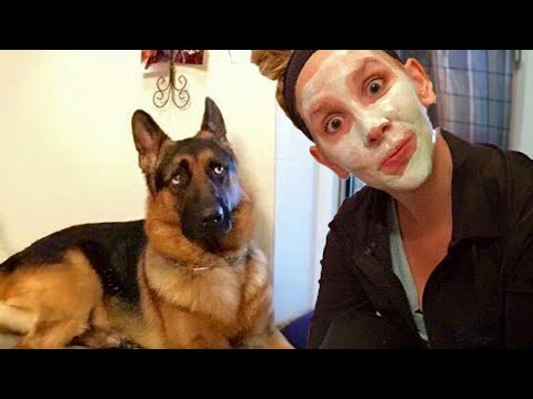 When your dog gives you the side eye 😄 Funny Dog and Human Video 2024