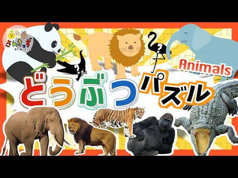 【子供向け 動物アニメ】どうぶつパズルに挑戦しよう★動物園で人気のパンダ コアラ ライオンなど12種が大集合！【子供が喜ぶ動物の知育動画】