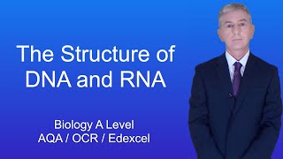 A Level Biology Revision "The Structure of DNA and RNA"