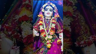 Radha Krishna Divine Darshan| ISCKON| #isckon #isckonmayapur #divinedarshan #shorts