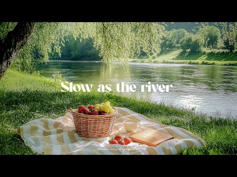 slow as the river | a dreamy morning playlist ⭐romanticize your life with 2025 guitar music