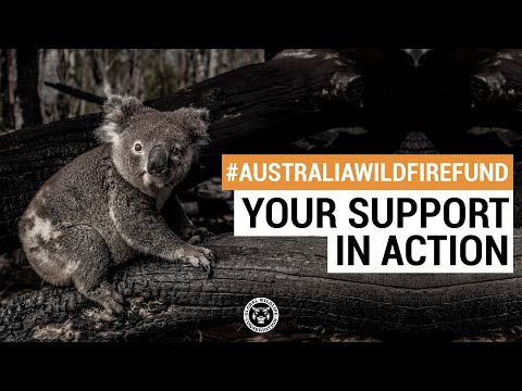 #AustraliaWildfireFund: Your Support In Action