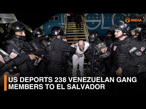 US Deports 238 Venezuelan Gang Members to El Salvador in Bold Move