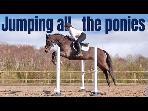 Jumping All The Ponies In 1 Day