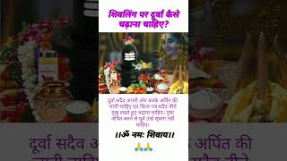 शिवलिंग पर दूर्वा कैसे चढ़ाना चाहिए#shivpuja #shivupasana#shivji#pradeepmishrajiupay#pradeepmishraji