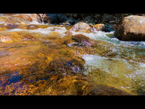 Gorgeous Clear Water Screensaver 4K (No Sound) — South Clear Creek Guanella Pass, Colorado