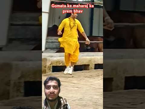 Maharaj ji ko gay mata kitna sneh karti hai #lovesong #funny #comedy #bolleywoodsong