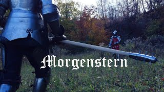 Morningstar | realistic, non-choreographed medieval combat with twohanded spiked mace