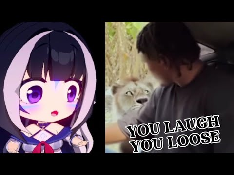 ShyLily reacts to memes compilation | You laugh you loose