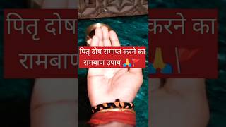 पितृ दोष समाप्त करने का रामबाण उपाय #pradeepmishra #shivpuran #shorts #shortsfeed #viral