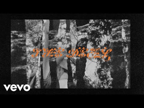 Mitski - The Deal (Spanish Lyric Video)