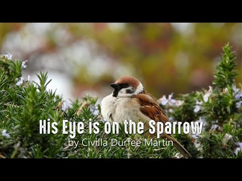 His Eye is on the Sparrow | Relaxing Piano Hymn with Lyrics