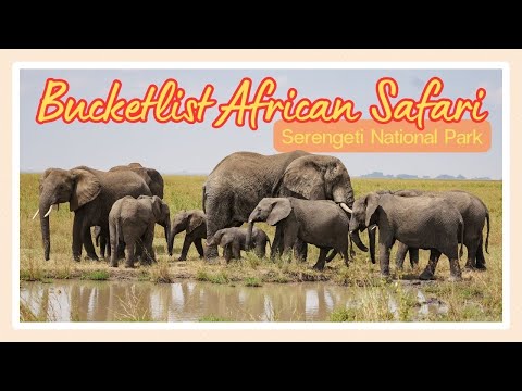 4K | Our DREAM Safari in Tanzania | Serengeti National Park in July | Melia Serengeti Lodge