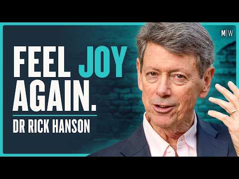 The Science Of Rewiring Your Brain To Be Less Miserable - Dr Rick Hanson