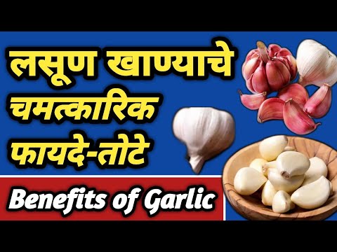 लसूण खाण्याचे फायदे व तोटे | Lasun Fayde | Benefits Of Garlic