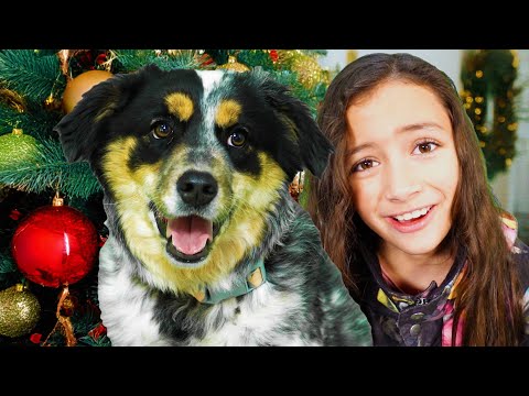 All I Want for Christmas Is A Friend! Christmas Song