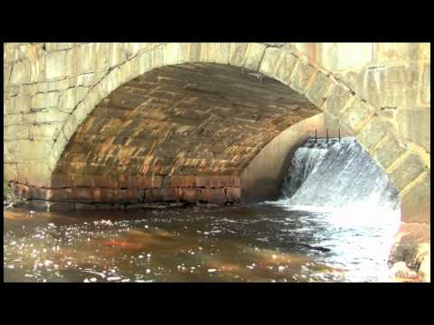 Spillway and Stone Arch Bridge