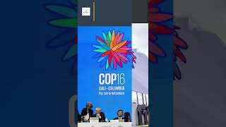 COP16 in Cali Colombia: Insights Form UN Conference on Rights Through Biodiversity | COP16 Summit