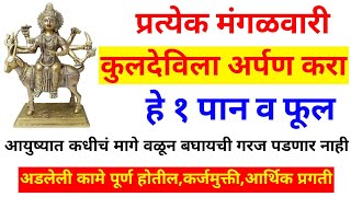 मंगळवारी कुलदेविला अर्पण करा ह्या 2 वस्तू, सगळे सांसारिक प्रश्न सुटतील, अडलेली कामे पूर्ण होण्यासाठी