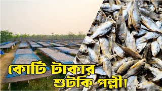 চলন বিলের শুঁটকি যাচ্ছে দেশ ছেড়ে বিদেশে। Raaz Agro