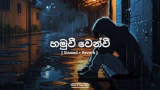 හමුවී වෙන්වී |Sandun Perera | [ Slowed + Reverb ] | Hima&YasaVibes #HimaYasaVibes