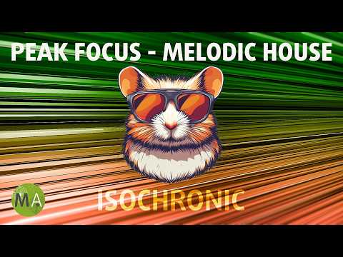 Peak Focus for Complex Tasks - Hamster Mix with Beta Isochronic Tones